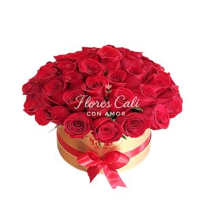 Cilindro con Rosas Rojas 25
