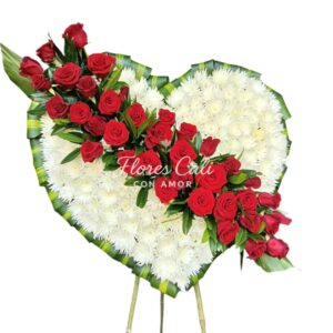 Tapizado Fúnebre con Rosas Rojas y Flores Blancas 08