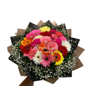 Bouquet de Gerberas Multicolor 41
